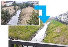 中央区下落合_木も伐採